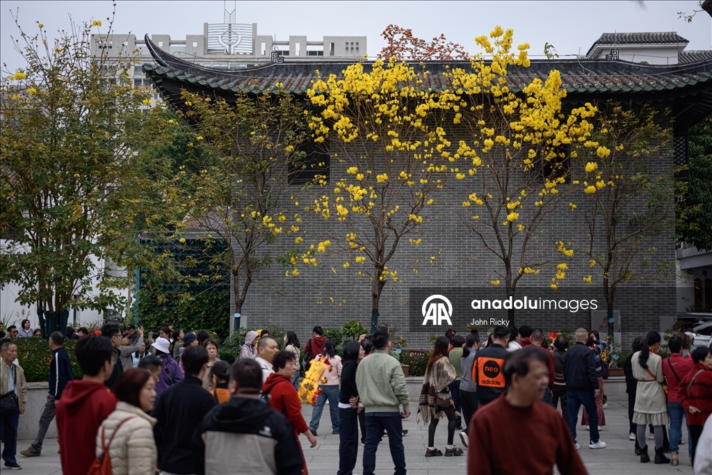 В Китае отмечают Праздник весны