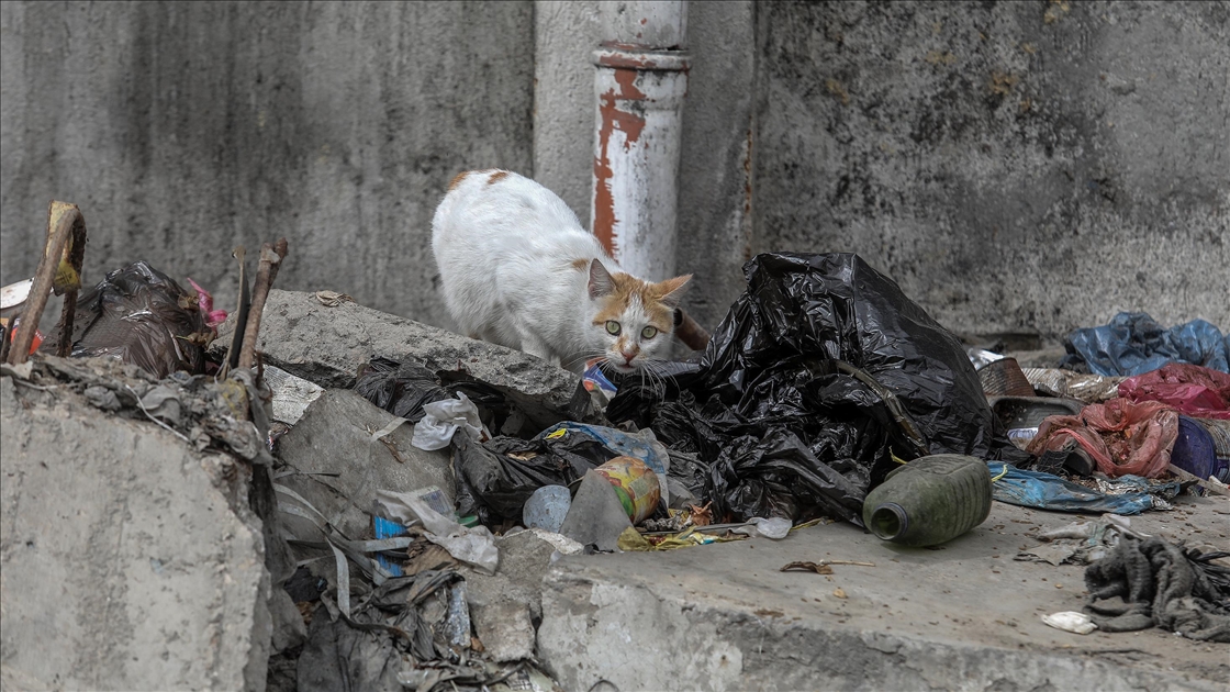 Han Yunus’ta çöp ve kanalizasyon krizi, yerinden edilen Filistinlilerin yaşamını tehdit ediyor