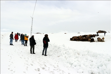 Li Agiriyê jiyana zivistanê ya dijwar û bedewiya siruştî bala wênekêşan dikişîne