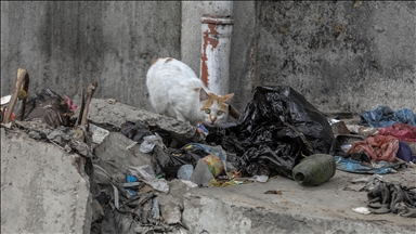Han Yunus’ta çöp ve kanalizasyon krizi, yerinden edilen Filistinlilerin yaşamını tehdit ediyor