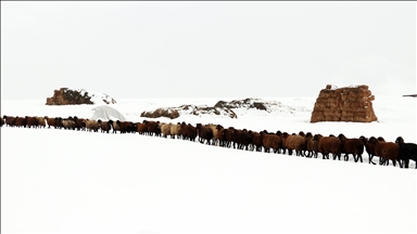 Ağrı'nın zorlu kış yaşamı ve doğal güzellikleri fotoğrafçıların rotasında