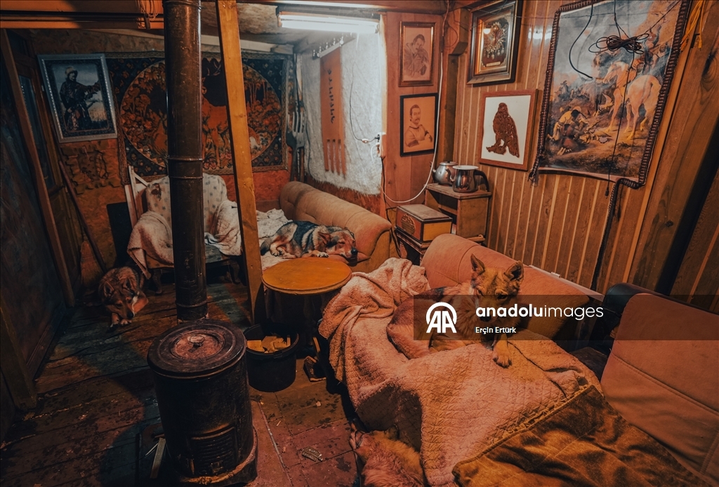 Sivas'ın bozkırında hayatını adadığı kurt köpekleri ve yırtıcı kuşlarıyla yaşıyor