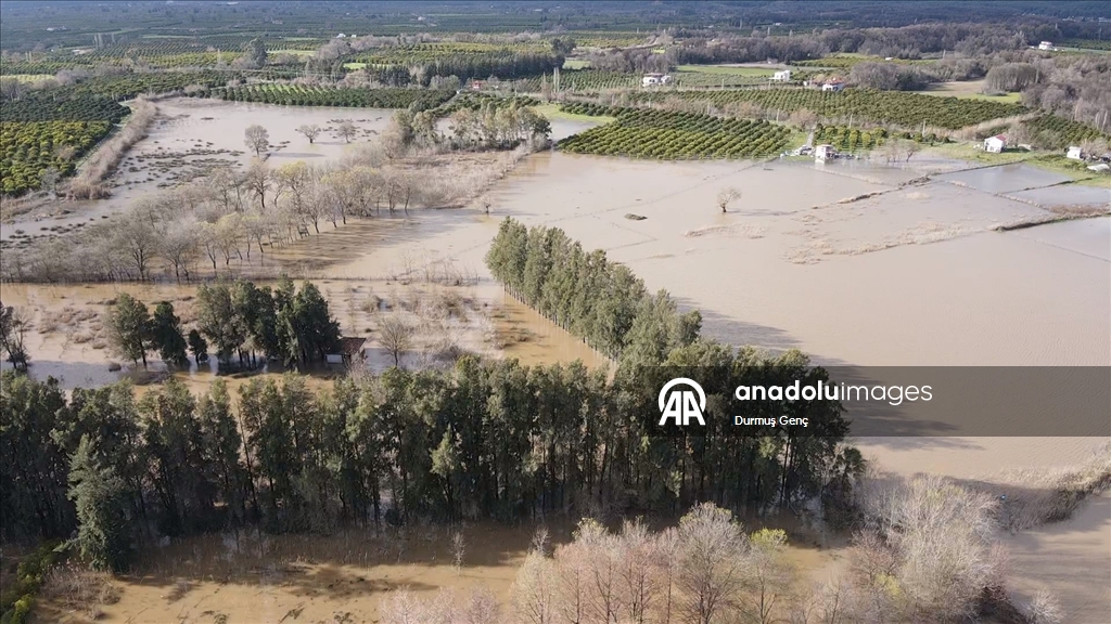 Muğla'da Köyceğiz Gölü taştı ev ve iş yerlerini su bastı