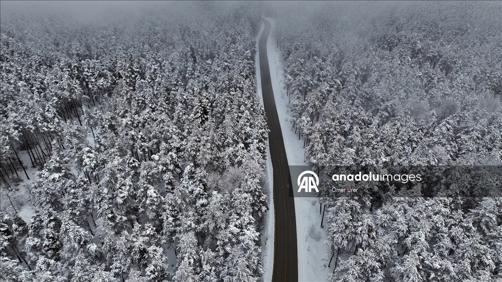 Плато Топук укрылось белоснежным покровом