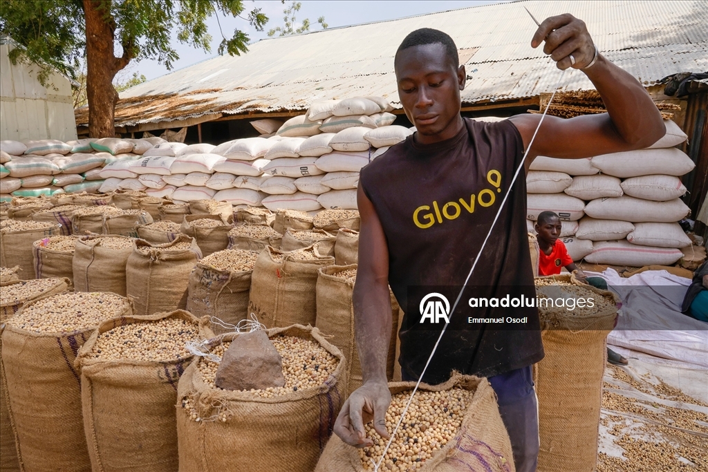 Nijerya'nın kuzeybatısında tahıl ticaretinin kalbi: Argungu pazarı