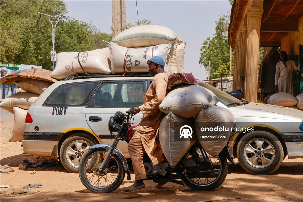 Nijerya'nın kuzeybatısında tahıl ticaretinin kalbi: Argungu pazarı