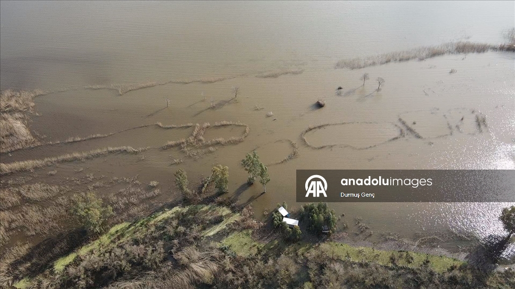 Muğla'da Köyceğiz Gölü taştı ev ve iş yerlerini su bastı