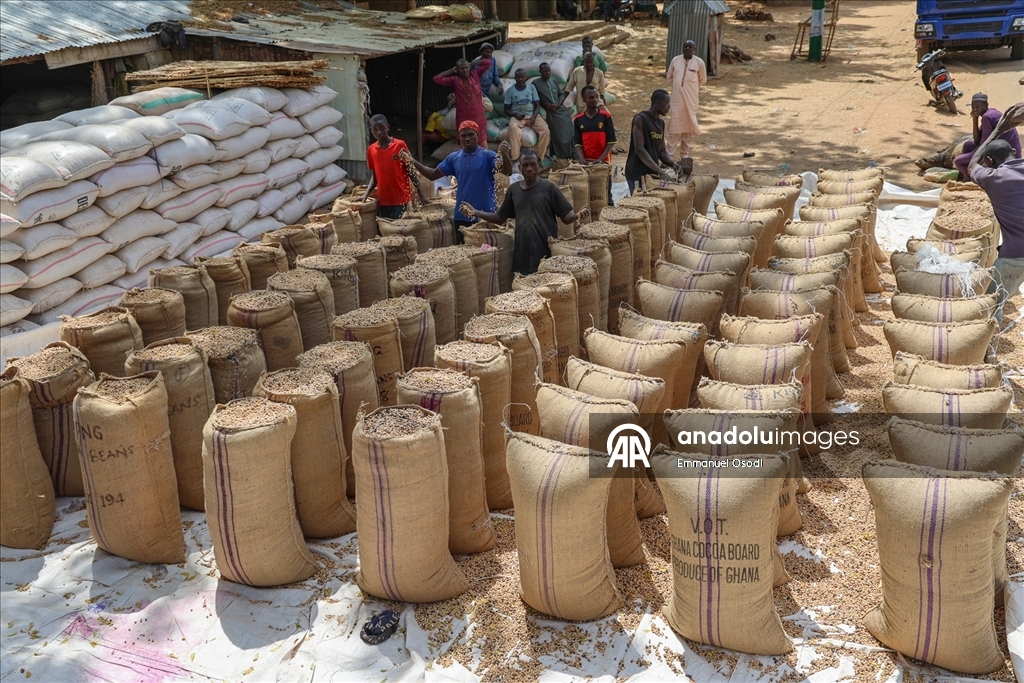 Nijerya'nın kuzeybatısında tahıl ticaretinin kalbi: Argungu pazarı
