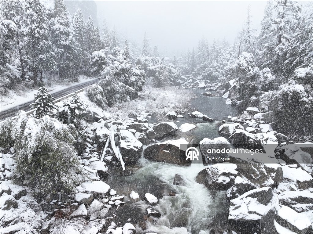 В национальном парке «Йосемити» в США наблюдается обильный снегопад