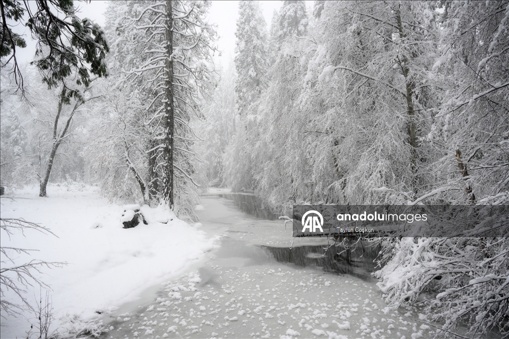 В национальном парке «Йосемити» в США наблюдается обильный снегопад