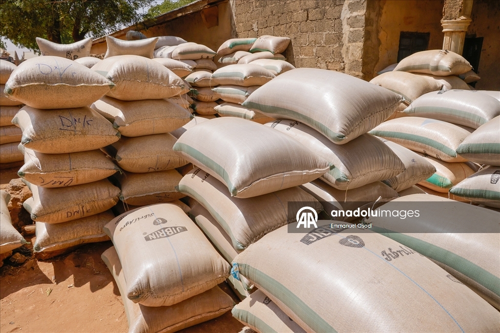 Nijerya'nın kuzeybatısında tahıl ticaretinin kalbi: Argungu pazarı
