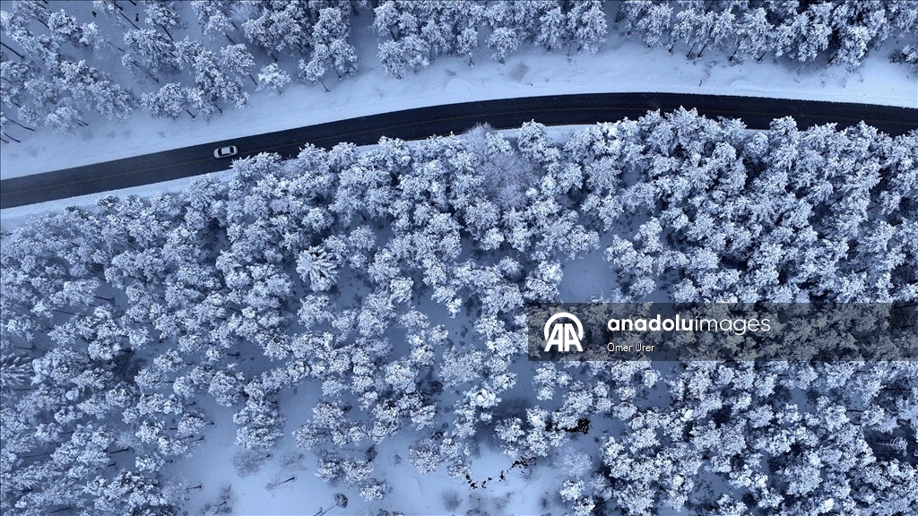 Плато Топук укрылось белоснежным покровом