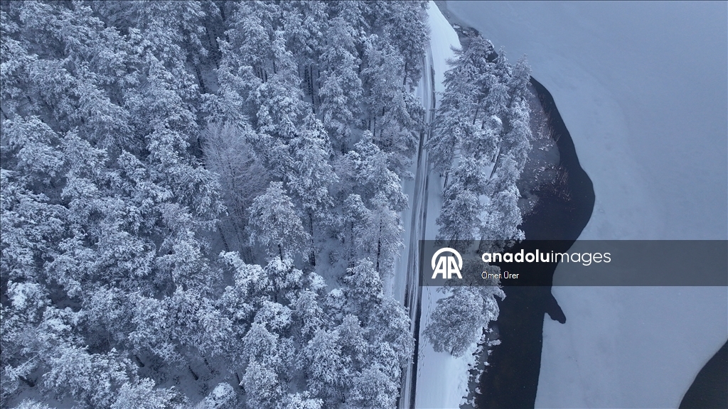 Плато Топук укрылось белоснежным покровом