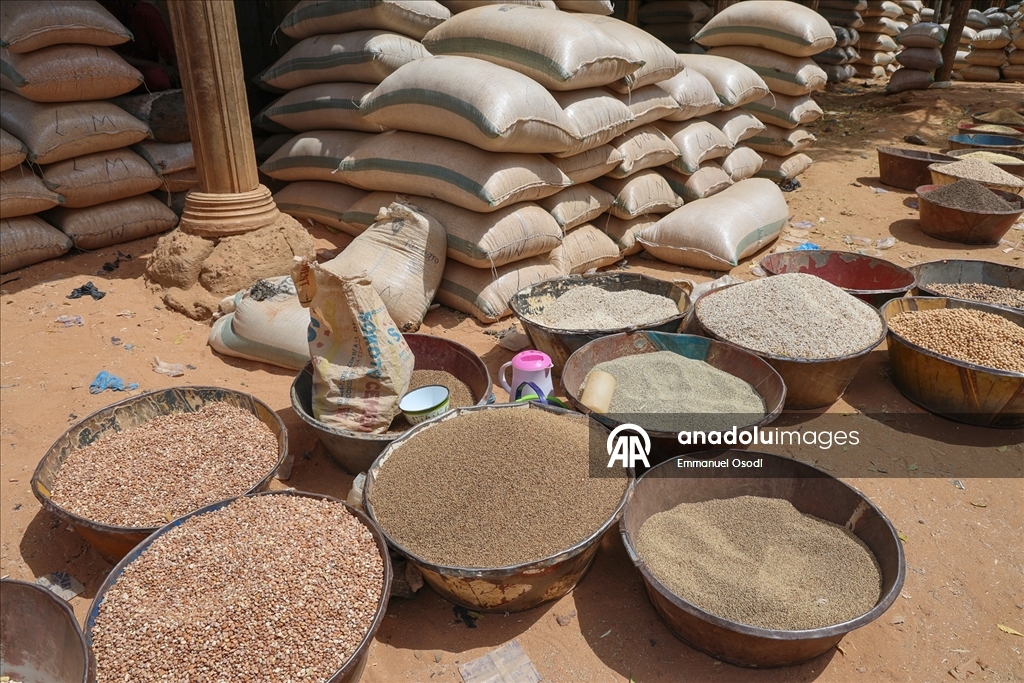 Nijerya'nın kuzeybatısında tahıl ticaretinin kalbi: Argungu pazarı