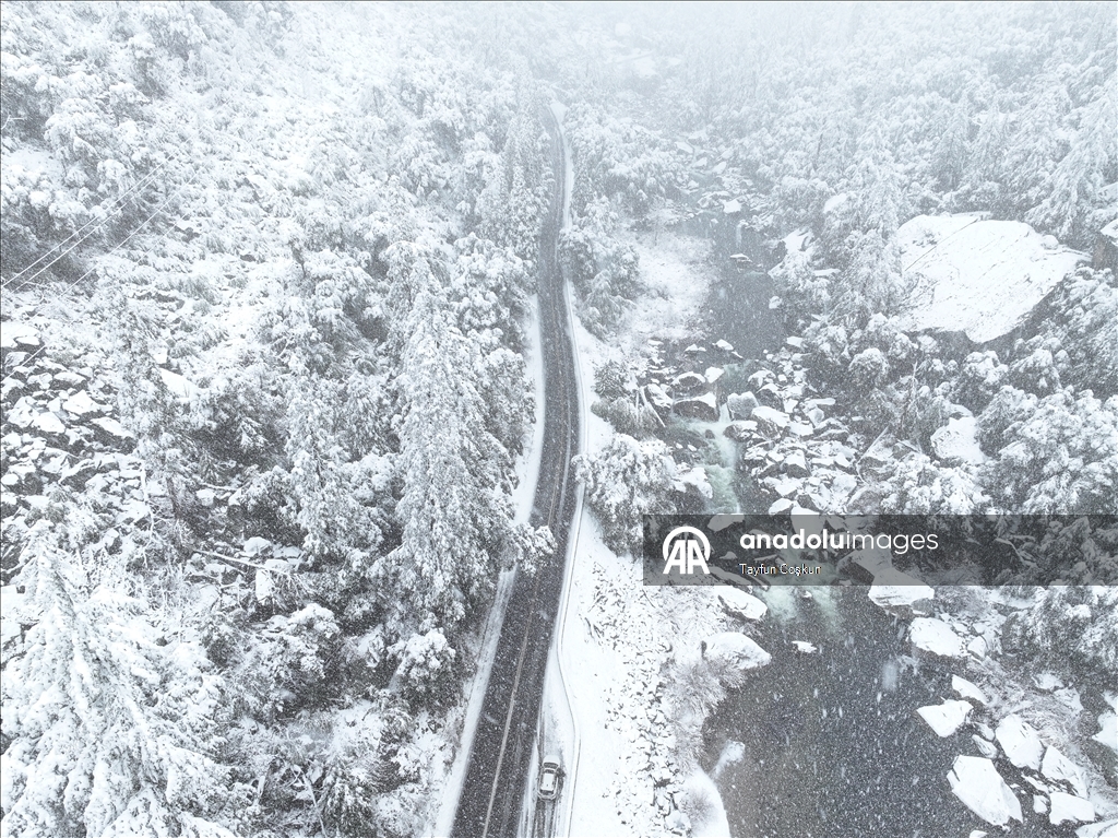 В национальном парке «Йосемити» в США наблюдается обильный снегопад