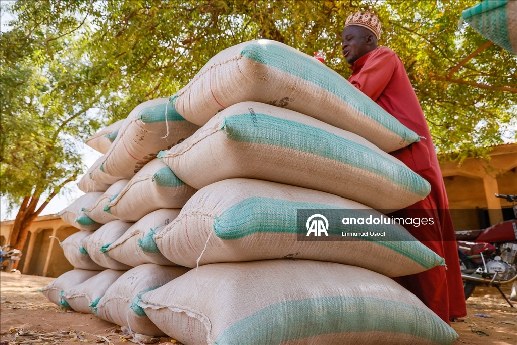 Nijerya'nın kuzeybatısında tahıl ticaretinin kalbi: Argungu pazarı