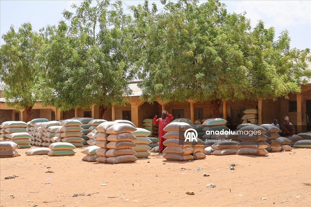 Nijerya'nın kuzeybatısında tahıl ticaretinin kalbi: Argungu pazarı