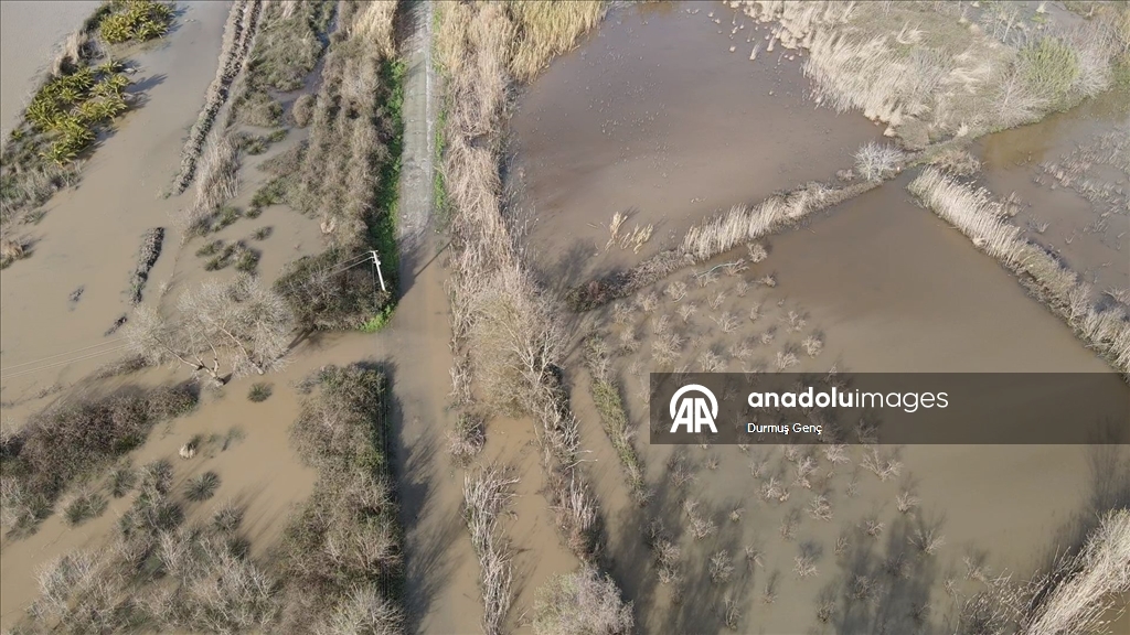 Muğla'da Köyceğiz Gölü taştı ev ve iş yerlerini su bastı