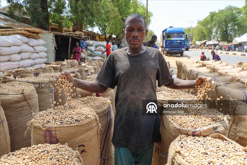 Nijerya'nın kuzeybatısında tahıl ticaretinin kalbi: Argungu pazarı