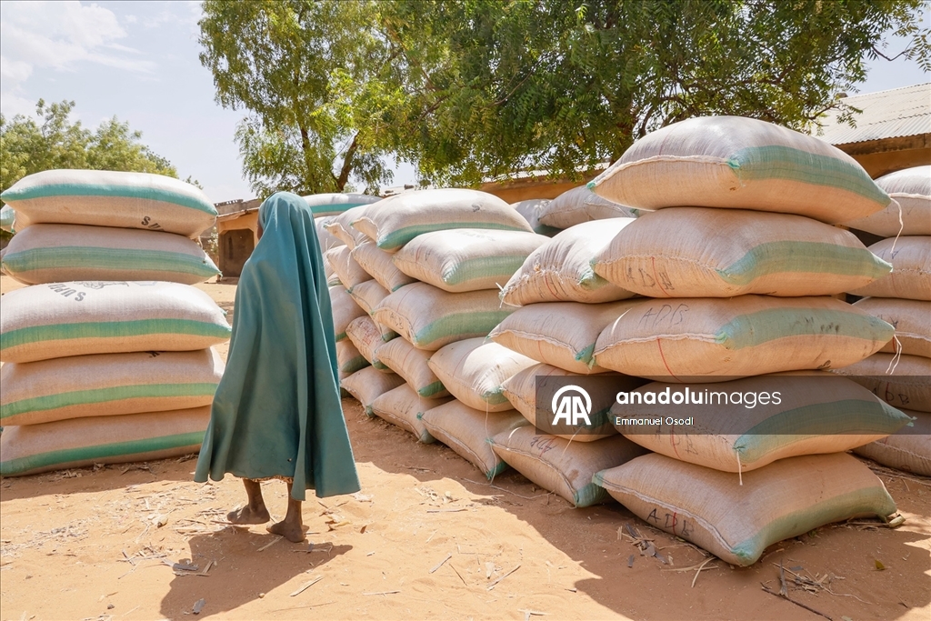 Nijerya'nın kuzeybatısında tahıl ticaretinin kalbi: Argungu pazarı