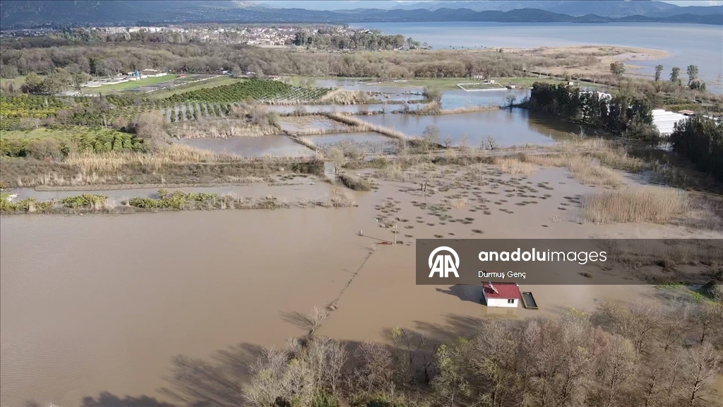 Muğla'da Köyceğiz Gölü taştı ev ve iş yerlerini su bastı