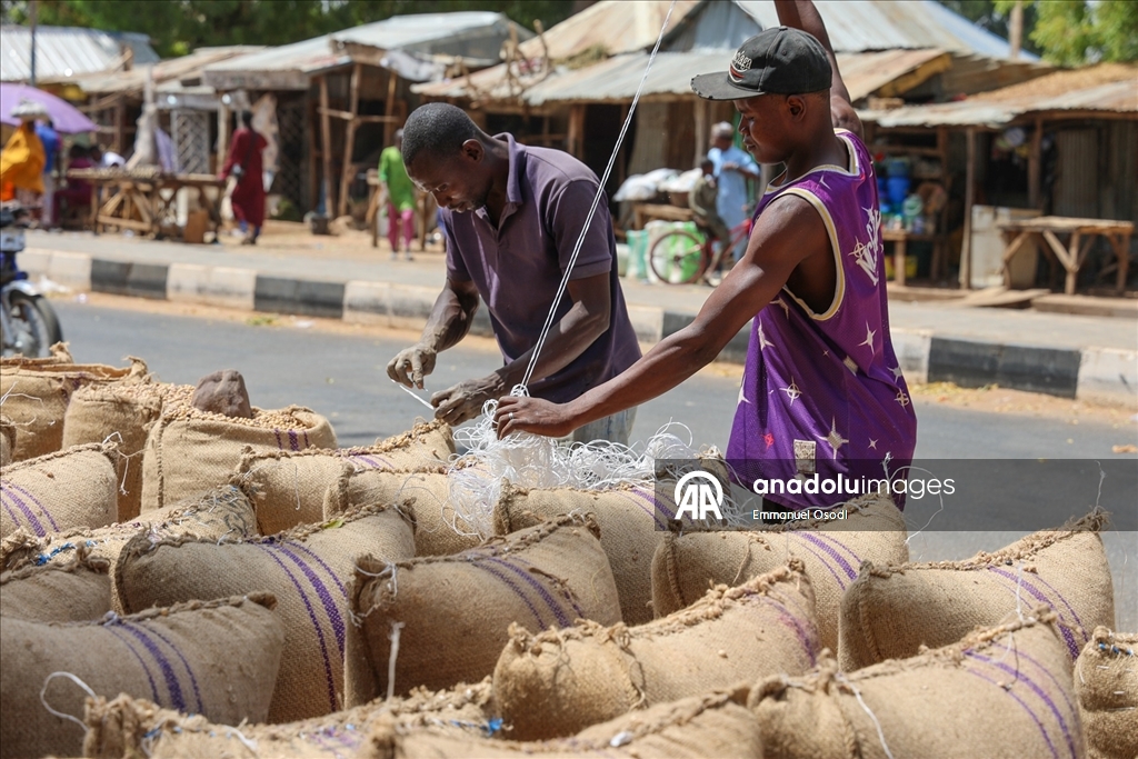 Nijerya'nın kuzeybatısında tahıl ticaretinin kalbi: Argungu pazarı