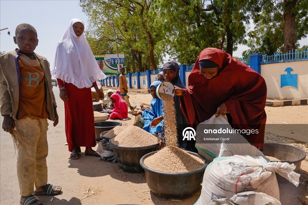 Nijerya'nın kuzeybatısında tahıl ticaretinin kalbi: Argungu pazarı