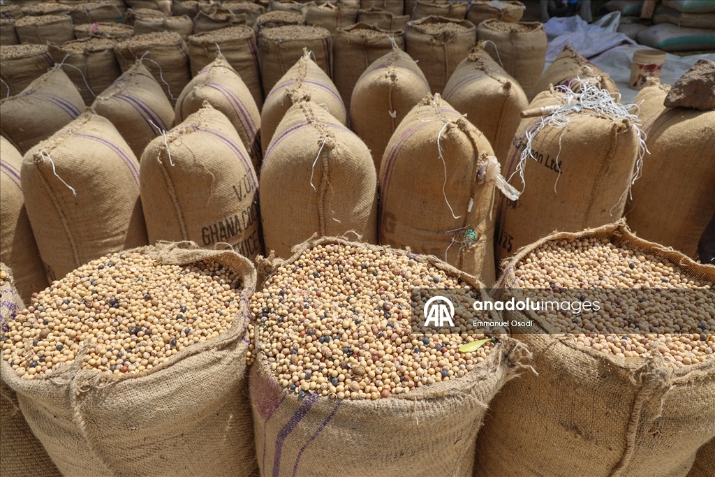 Nijerya'nın kuzeybatısında tahıl ticaretinin kalbi: Argungu pazarı