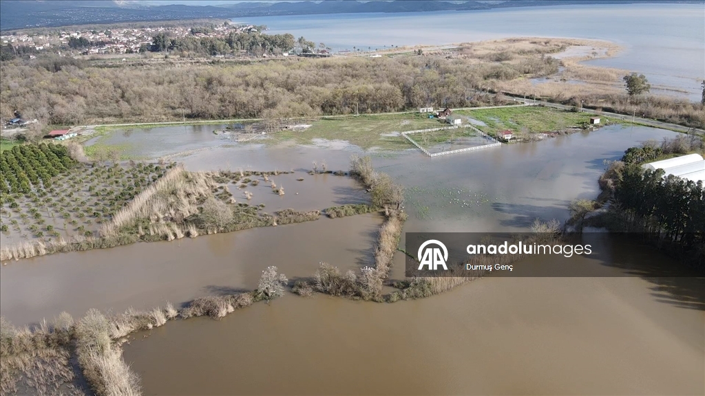 Muğla'da Köyceğiz Gölü taştı ev ve iş yerlerini su bastı