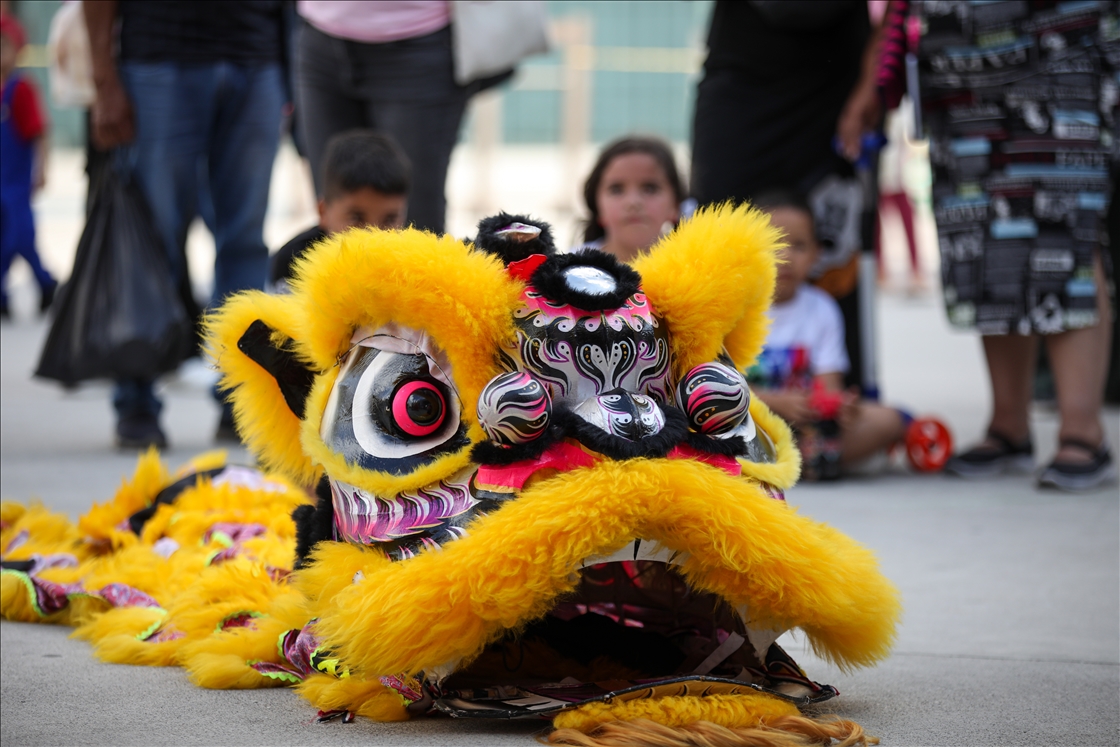 Chinese New Year Celebrations in Caracas