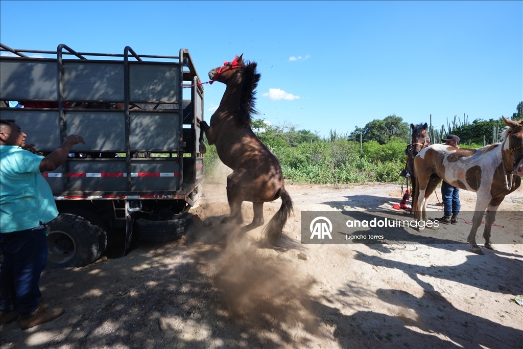 Wayuu: Huellas ancestrales en la arena 4