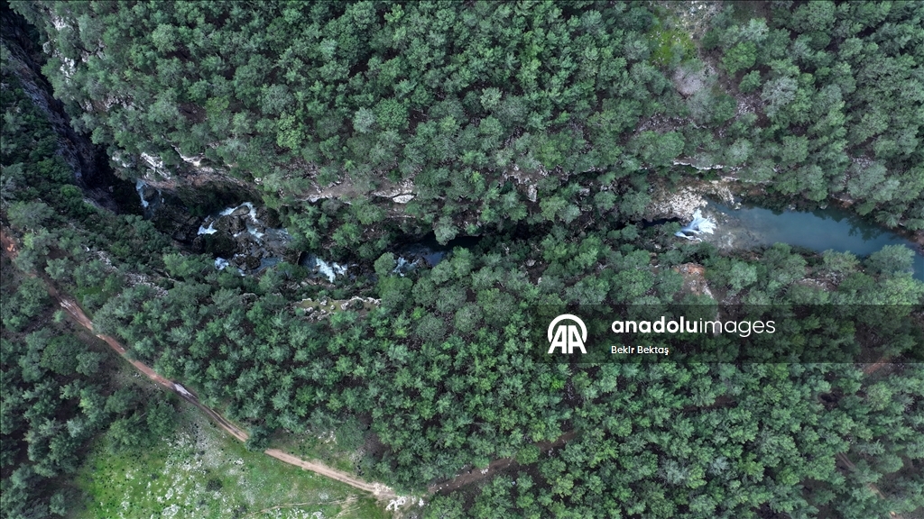 Şelaleya Guverê ya Antalyayê bi ava berf û baranê cardin gur bû