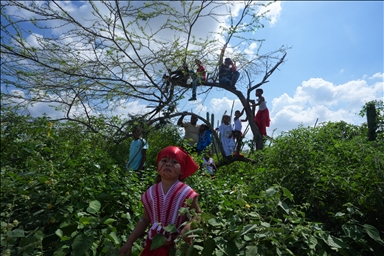 Wayuu: Huellas ancestrales en la arena