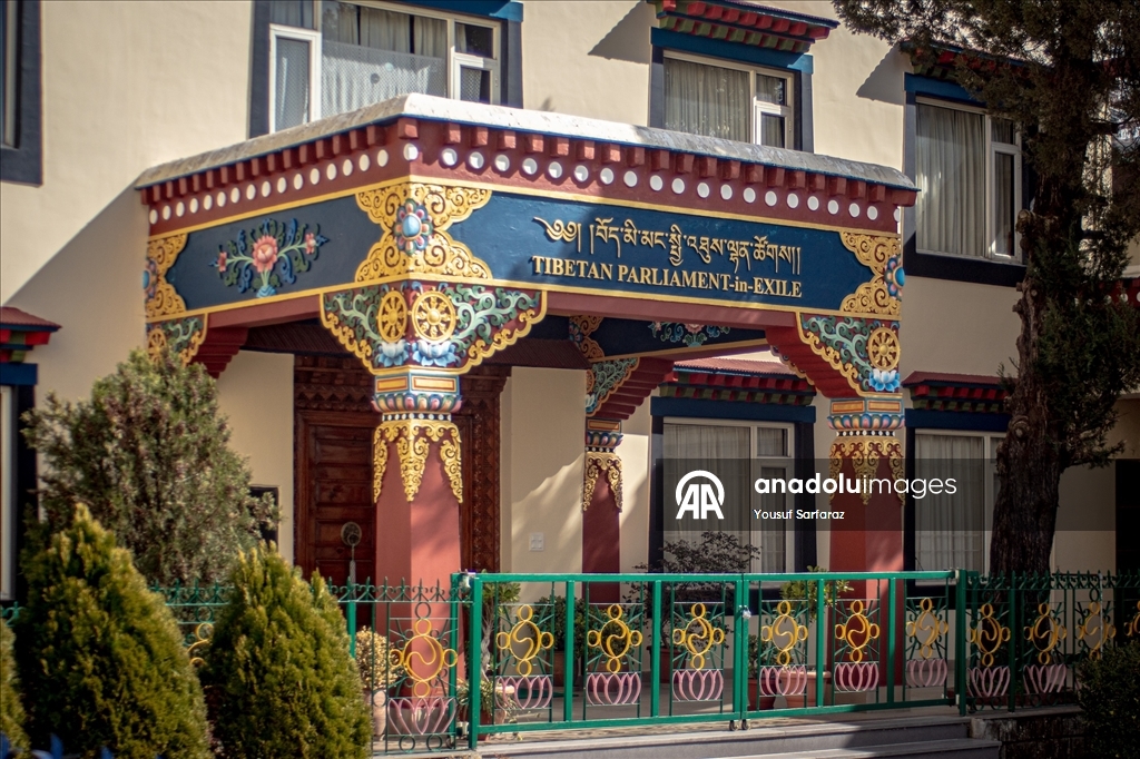 Повседневная жизнь в индийской Дхарамсале