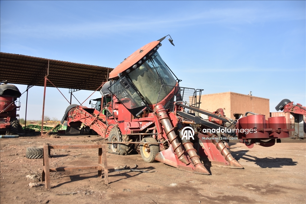 Мирное население Судана страдает из-за действий Сил быстрого реагирования в Судане