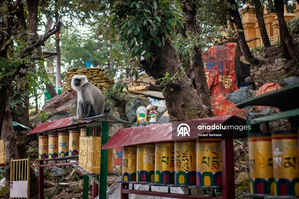 Hindistan’ın Dharamshala kentinde günlük yaşam
