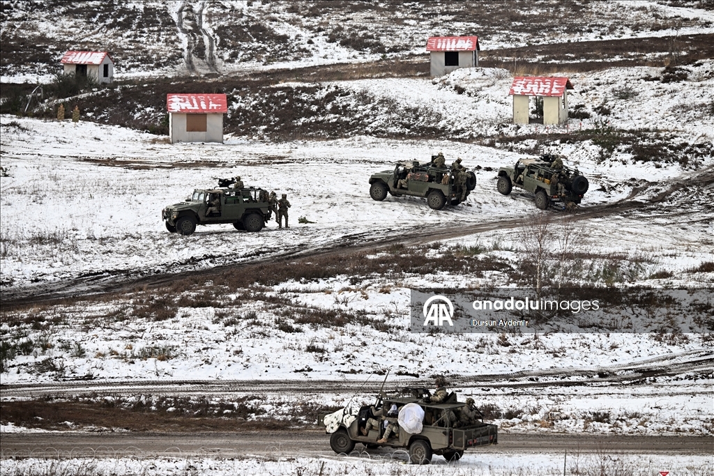 وحدات تركية تشارك في المرحلة البرية من مناورات "ستيدفاست" بألمانيا