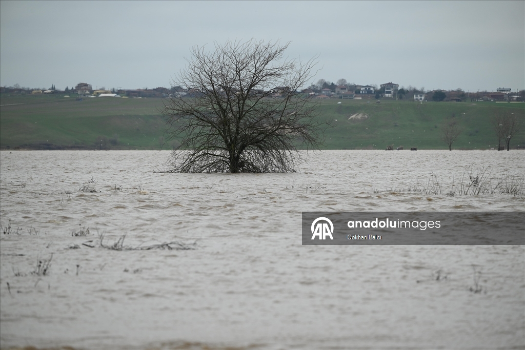 Edirne'de Tunca Nehri'nin debisi yükseldi, Meriç Nehri'nde taşkınlar oluştu