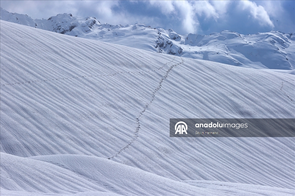 Li Hekariyê dîmenên pêlên ku ji ber bayê li ser berfê çêbûne balê dikişînin