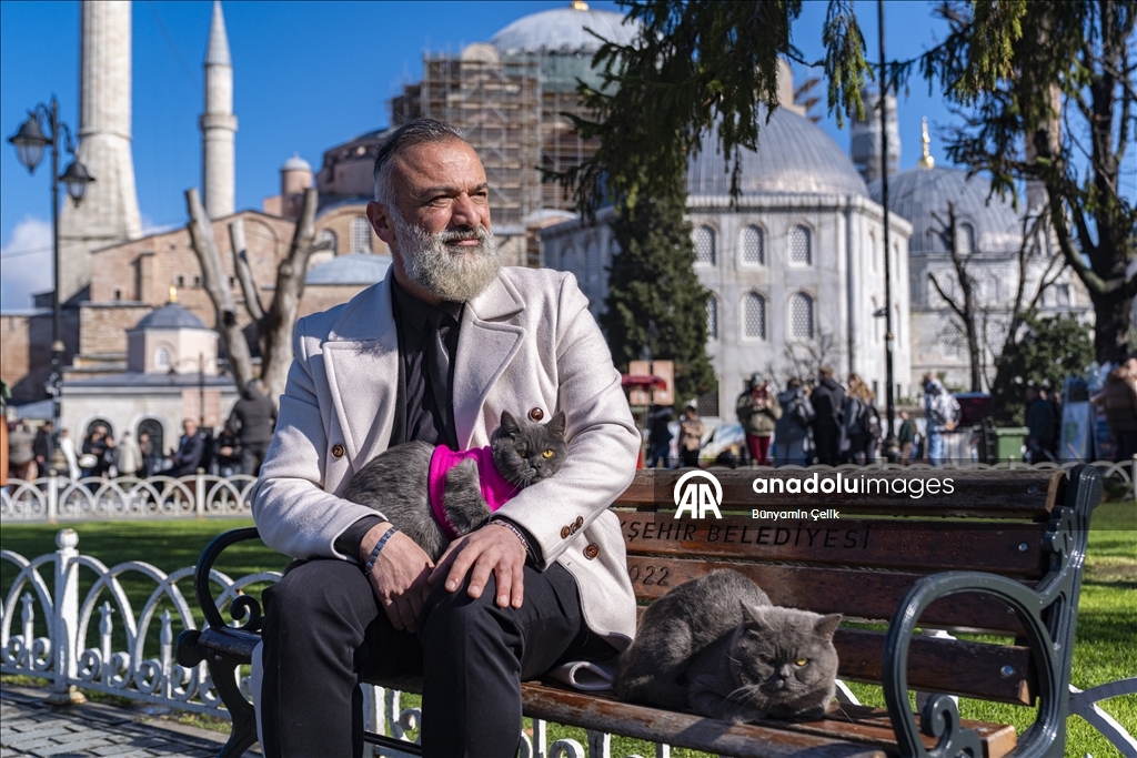 على كتف صاحبه.. قط يجوب معالم إسطنبول وصغيرته تلتحق بالمغامرة