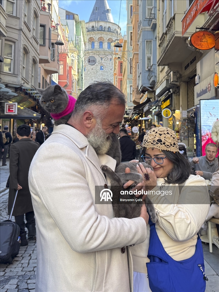 على كتف صاحبه.. قط يجوب معالم إسطنبول وصغيرته تلتحق بالمغامرة