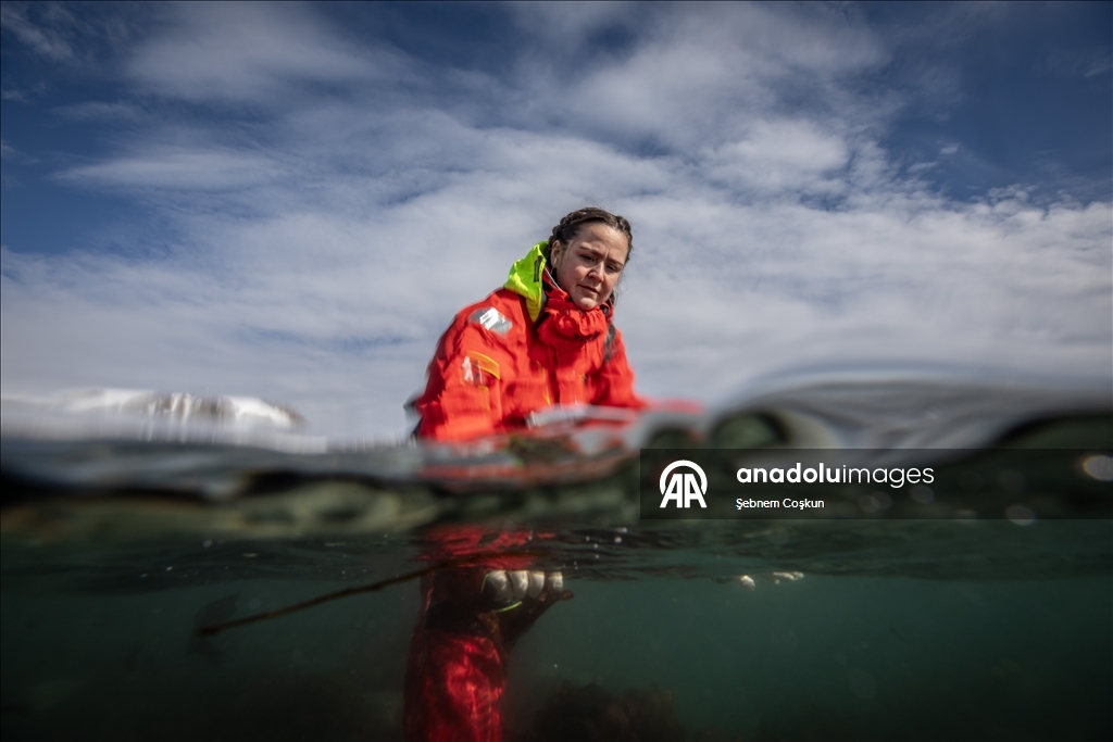 Türk bilim insanları Antarktika'daki araştırmalarıyla sağlık ve tarıma ışık tutuyor