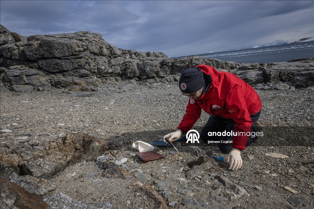 Türk bilim insanları Antarktika'daki araştırmalarıyla sağlık ve tarıma ışık tutuyor