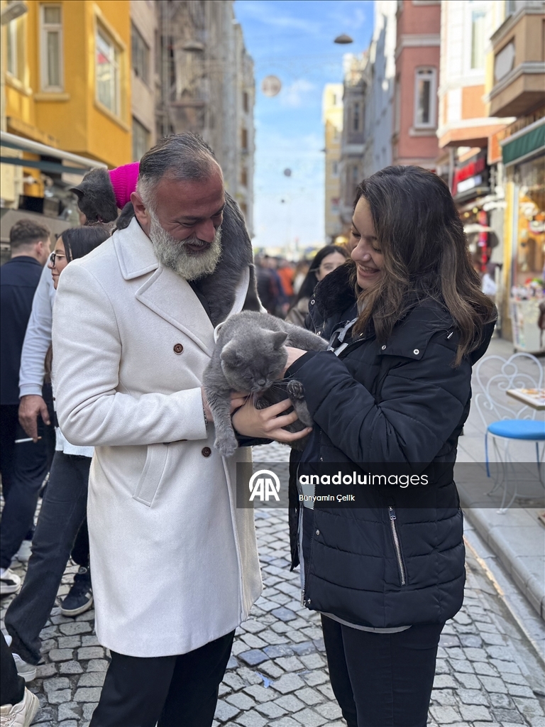 على كتف صاحبه.. قط يجوب معالم إسطنبول وصغيرته تلتحق بالمغامرة