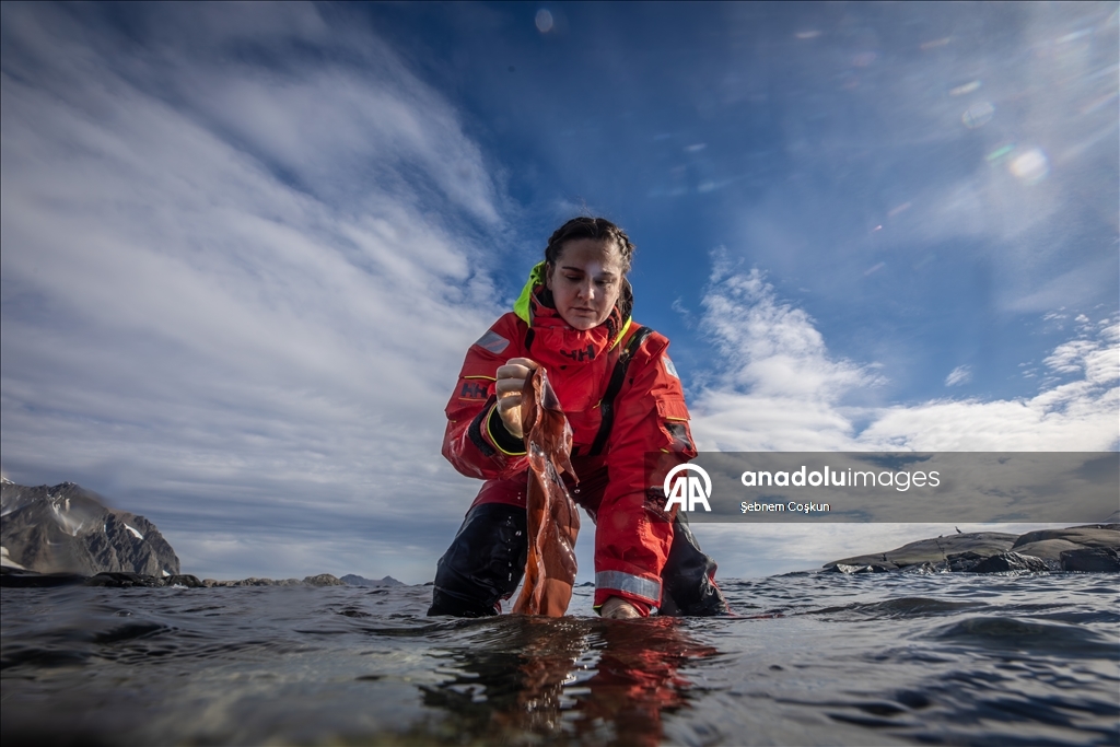 في قلب الجليد.. علماء أتراك يستكشفون حلولا صحية وزراعية