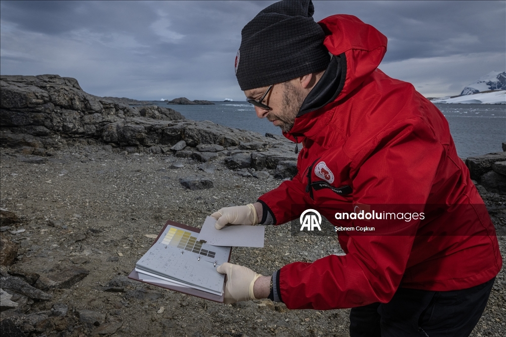 Türk bilim insanları Antarktika'daki araştırmalarıyla sağlık ve tarıma ışık tutuyor