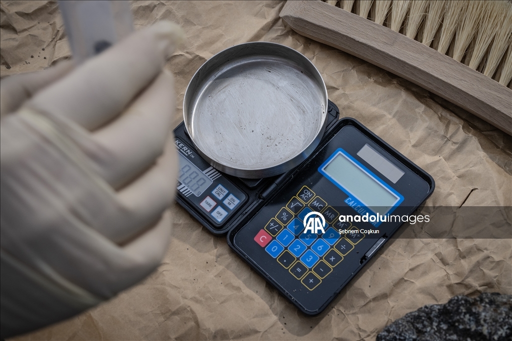 Türk bilim insanları Antarktika'daki araştırmalarıyla sağlık ve tarıma ışık tutuyor