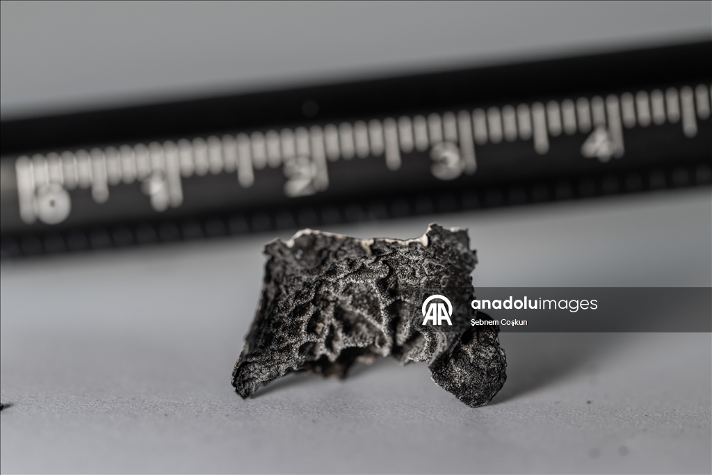 Türk bilim insanları Antarktika'daki araştırmalarıyla sağlık ve tarıma ışık tutuyor