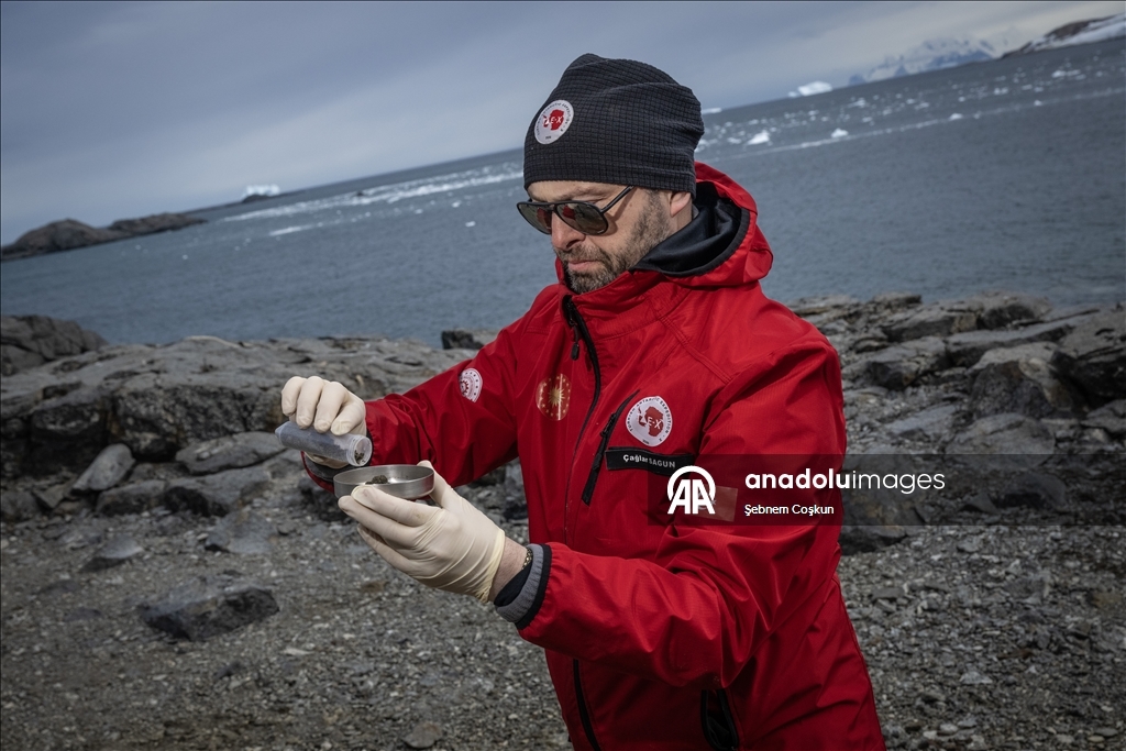 Türk bilim insanları Antarktika'daki araştırmalarıyla sağlık ve tarıma ışık tutuyor
