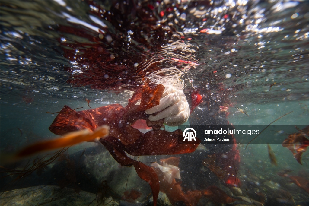 في قلب الجليد.. علماء أتراك يستكشفون حلولا صحية وزراعية